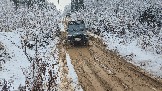 20251115_123020.jpg