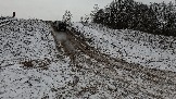 Трофи-лайф фото 4х4 покатушка Школа 4х4 16.02.2025 -  (296).jpg
