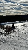 IMG_1359.jpg