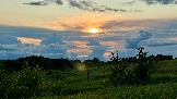 IMG_1410.jpg