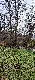 IMG_20231104_104354.jpg