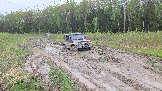 20260510_184648.jpg