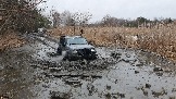 20250315_111942.jpg