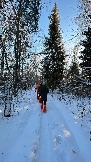 IMG_3009.JPG