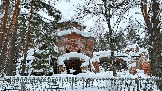 IMG_7754.jpg