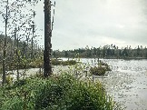 2023-10-06 14-14-43.JPG