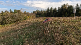 Трофи-лайф фото 4х4 покатушка Подвиги Русского Солдата 28.09.2024 -  (211).png