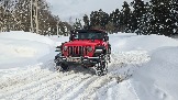 20260221_134006.jpg