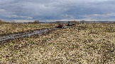 Трофи-лайф фото 4х4 покатушка Ступинский Крюк 18.04.2026 - 33.jpg