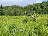 IMG_8778.JPG
