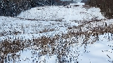 Трофи-лайф фото 4х4 покатушка Рогачёвские Сокровища 14.12.2024 - (93).png