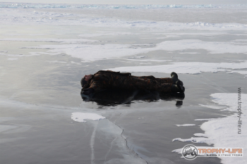 Фото Байкал Малое Море Трофи-лайф 4х4 экспедиция-путешествие Лёд Байкала 10.02.21 -58.JPG