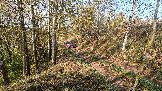 Трофи-лайф фото 4х4 покатушка Подвиги Русского Солдата 28.09.2024 -  (88).png