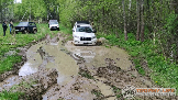 дглпановр7.png
