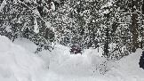 20260225_161747.jpg