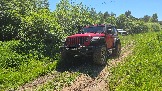 20260606_115532.jpg