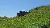 20260606_143154.jpg