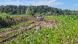 20260801_135358.jpg