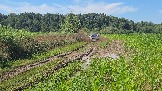 20260801_135248.jpg