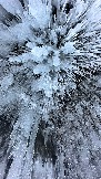 81D4574F-B2B2-4DEC-B1E0-16EABB66B8B4.jpeg