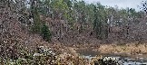 IMG_20231105_112333.jpg