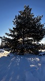IMG_2913.JPG