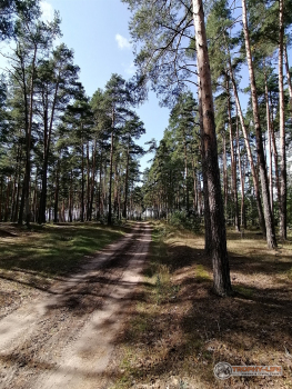 Фото Трофи-лайф 4х4 покатушка Покровский Пряник 04.09.21 - 277.jpg