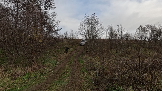 Трофи-лайф фото 4х4 День Рождения Трофи-лайф 17 лет 26.10.2024 -  (9).png