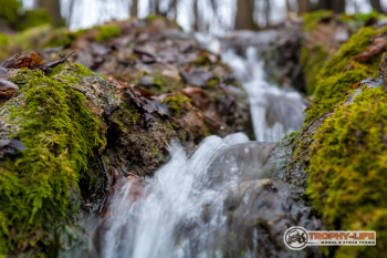 _MG_8391.jpg