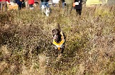 24-10-26_trophy-life_17 _0069jpg_web.jpg