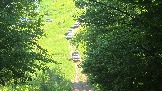 20260606_154133.jpg