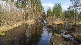 2025-04-19 16-06-32_35071022.JPG