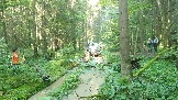 20240803_171721.jpg