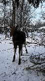 IMG_3458.JPG