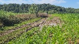 20260801_135302.jpg