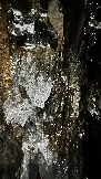 6D6045FE-1C53-4107-A593-8984E6A08482.jpeg