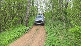 20250518_130446.jpg