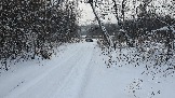 20231216_120318.jpg