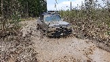20250426_124356.jpg