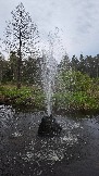 20250503_181016.jpg