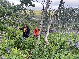 IMG_9391.jpeg