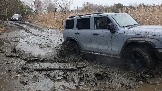 20250315_111944.jpg
