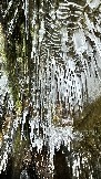 57676C31-6329-479E-8FA1-A3FC2DC8B495.jpeg