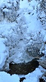 54584416-2864-43AD-8B71-C665235933A8.jpeg