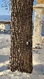 IMG_3794.JPG