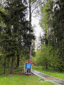 Фото Трофи-лайф 4х4 покатушка Шелковый Путь 28.05.22 - 280.jpeg