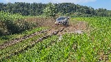 20260801_135251.jpg