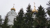 20231106_091525.jpg
