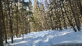 Трофи-лайф фото 4х4 покатушка Каширский Зигзаг 09.03.2024 (49).png