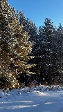 IMG_3005.JPG